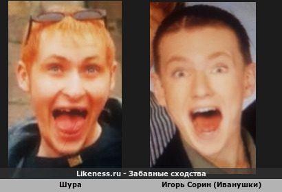 Шура похож на Игоря Сорина (Иванушки)
