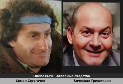 Семен Стругачев похож на Вячеслава Гришечкина