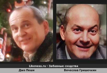 Джо Пеши похожа на Вячеслава Гришечкина