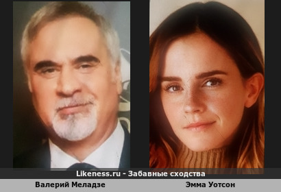 Валерий Меладзе похож на Эмму Уотсон