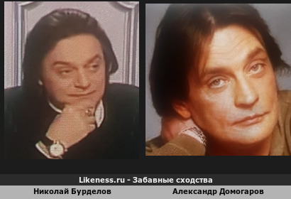 Николай Бурделов похож на Александра Домогарова