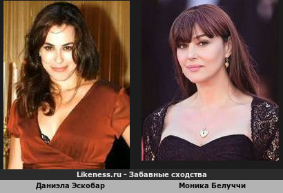Даниэла Эскобар похожа на Монику Белуччи