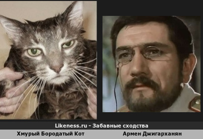 Этот Взгляд Говорит Нам "Ну Шо.." "Ну Че??!")))