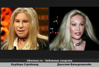Барбара Стрейзанд похожа на Джослин Вильденштейн