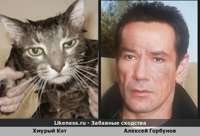 Хмурый Кот:"Дети, Внуки, Подонки будут страдать!" Алексей Горбунов:"У меня не будет подонков. Мой сын не успел появиться на свет!"