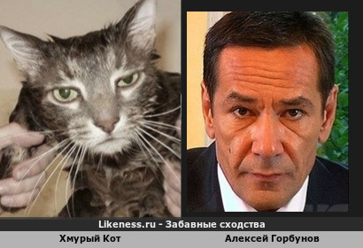 Хмурый Кот похож на Алексея Горбунова