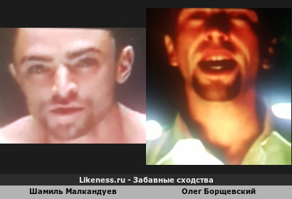 Шамиль Малкандуев похож на Олега Борщевского