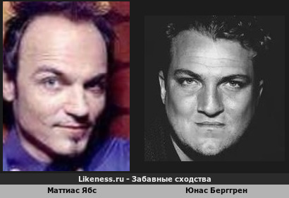 Маттиас Ябс похож на Юнаса Берггрена