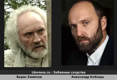 Борис Химичев похож на Александра Кобзаря