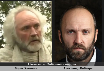 Борис Химичев похож на Александра Кобзаря