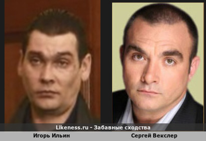 Игорь Ильин похож на Сергея Векслера