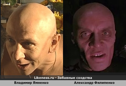 Владимир Ямненко похож на Александра Филипенко