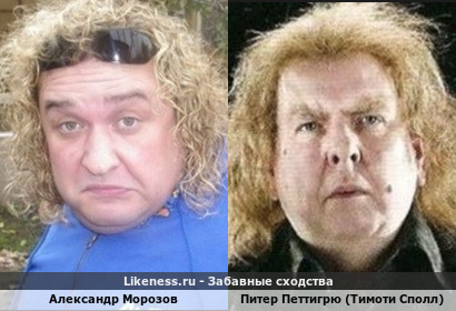 Александр Морозов похож на Питера Петтигрю (тимоти Сполл)