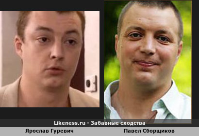 Ярослав Гуревич похож на Павла Сборщикова