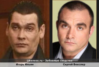 Игорь Ильин похож на Сергея Векслера