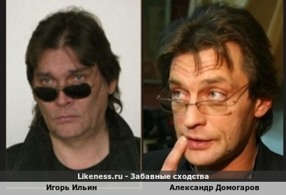 Игорь Ильин похож на Александра Домогарова