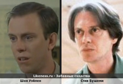 Шон Уэйлен похожа на Стива Бушеми
