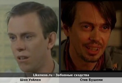Шон Уэйлен похож на Стива Бушеми (1-ый Вариант)