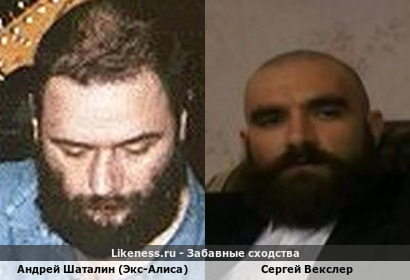 Андрей Шаталин (Экс-Алиса) похож на Сергея Векслера