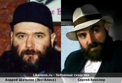Андрей Шаталин (Экс-Алиса) похож на Сергея Векслера (1-ый Вариант)