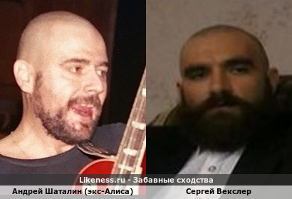 Андрей Шаталин (экс-Алиса) похож на Сергея Векслера (2-ой Вариант)