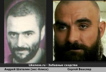 Андрей Шаталин (экс-Алиса) похож на Сергея Векслера (3-ий Вариант)