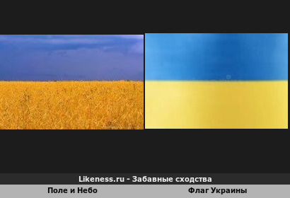 Поле и Небо похож на Флаг Украины (Первый Вариант)