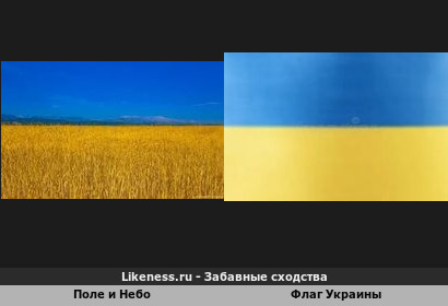 Поле и Небо похож на Флаг Украины (Второй Вариант)