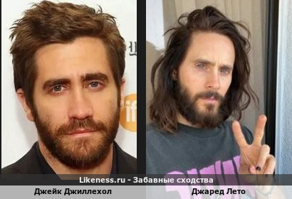 Джейк Джиллехол похож на Джареда Лето