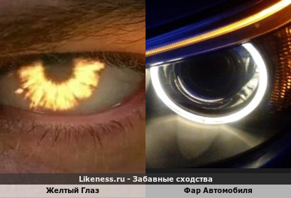 Желтый Глаз похож на Фара Автомобиля. Ночью будет гореть желтые глаза у человека в темноте и выпущу новый музыкальный альбом с фар глаза человека и автомобиля вот это фантастика