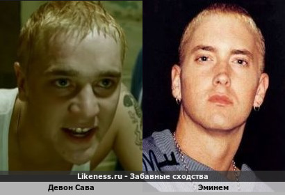 Девон Сава и Эминем оба похожи на родные братья снимались в клипе "Stan" актер и певец. Младший брат пишет певцу-старшему брату письмо, а Старший Брат-певец не может отвлечься и занят был