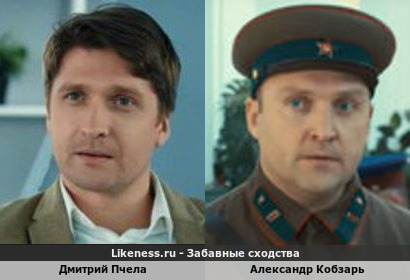 Дмитрий Пчела похож на Александра Кобзаря
