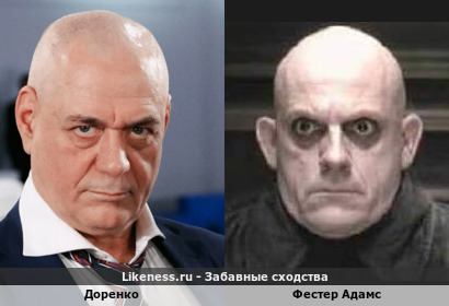 Доренко похож на Фестер Адамс