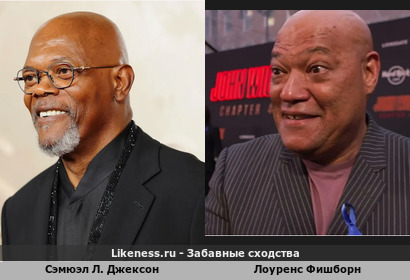 Сэмюэл Л. Джексон похож на Лоуренса Фишборна