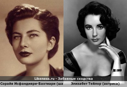 Сорайя Исфандияри-Бахтиари (шахиня) похожа на Элизабет Тейлор (актриса)