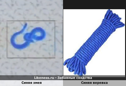Синяя змея похож на Синяя Веревка
