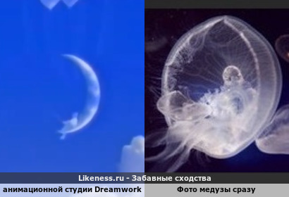 Анимационной студии Dreamworks SKG напоминают Фото медузы сразу