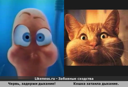 Червь, задержи дыхание! напоминает Кошка затаила дыхание