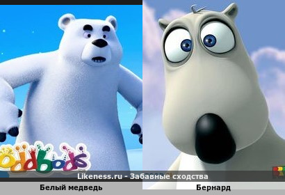 Белый медведь похож на Бернарда