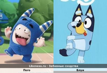 Пого напоминает Блуи