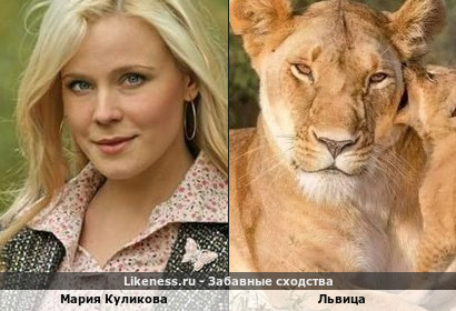 Мария Куликова напоминает Львицу
