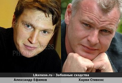 Александр Ефимов похож на Харви Стивенса