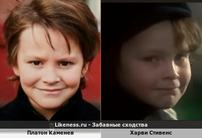 Платон Каменев похож на Харви Стивенса