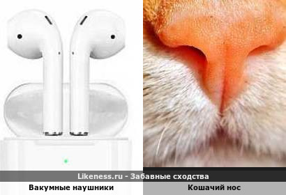 Вакумные наушники напоминают кошачий нос