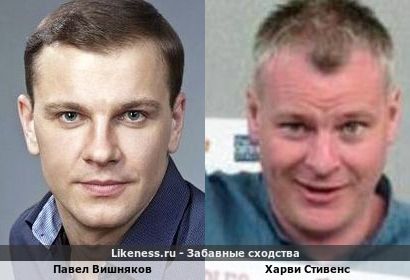 Павел Вишняков похож на Харви Стивенса