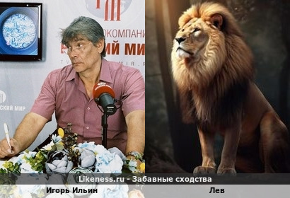 Игорь Ильин похож на Льва