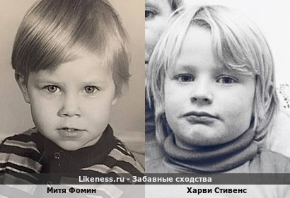 Митя Фомин похож на Харви Стивенса
