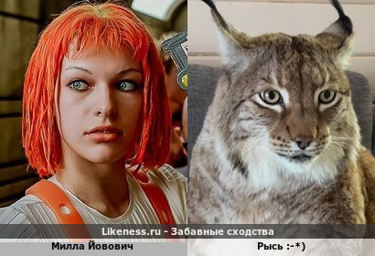 Милла Йовович похожа на Рысь