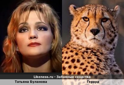Татьяна Буланова похожа на Герарда