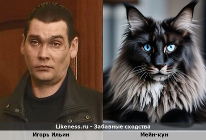 Игорь Ильин напоминает Мейн-куна